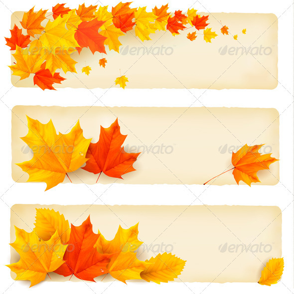 Three autumn banners with colorful leaves Vector - Flowers & Plants Nature