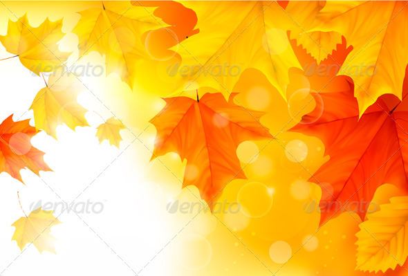 Autumn background with leaves Back to school Vec - Flowers & Plants Nature