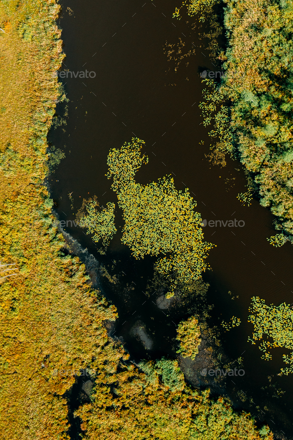 Aerial View Of Green Grass Landscape. Top View Of River Coast From High Attitude In Autumn Day
