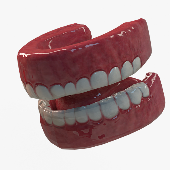 Low Detail TeethsTongue - 3Docean 32084203