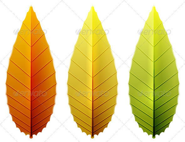 Seasonal Leaves Pack - Nature Conceptual