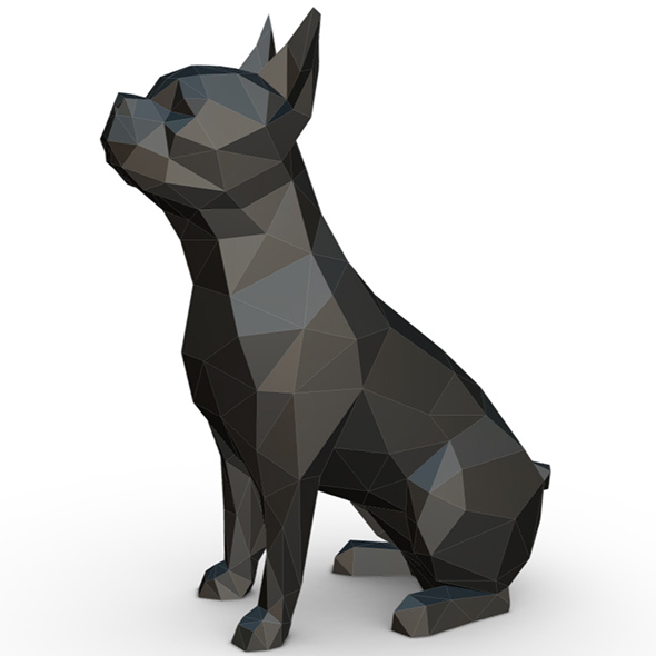 Boston terrier - 3Docean 32095779