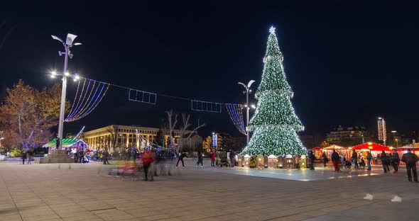 Christmas Tree in the Center of the City