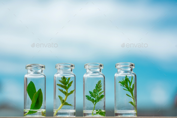 Download Glass Bottles Test Tubes With Plant Sprouts On A Background Of Blue Sky Natural Organic Cosmetics Stock Photo By Ira Evva