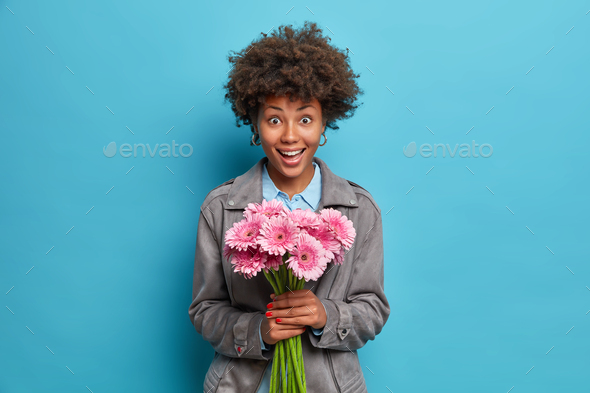 Beautiful cheerful woman with Afro hair holds gerbera flowers dressed in grey jacket isolated over b