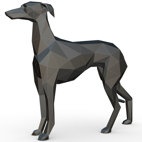 Italian Greyhound - 3Docean 32139292