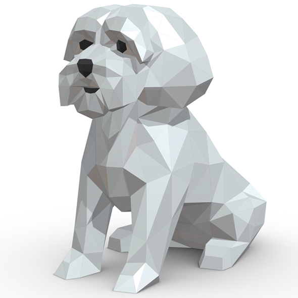 Maltese dog - 3Docean 32139723