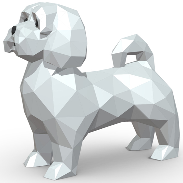 Maltese dog - 3Docean 32139739