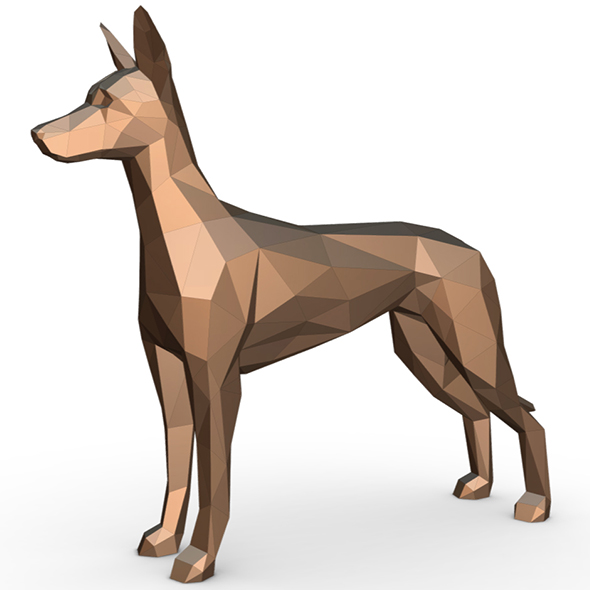 pharaoh hound - 3Docean 32140054