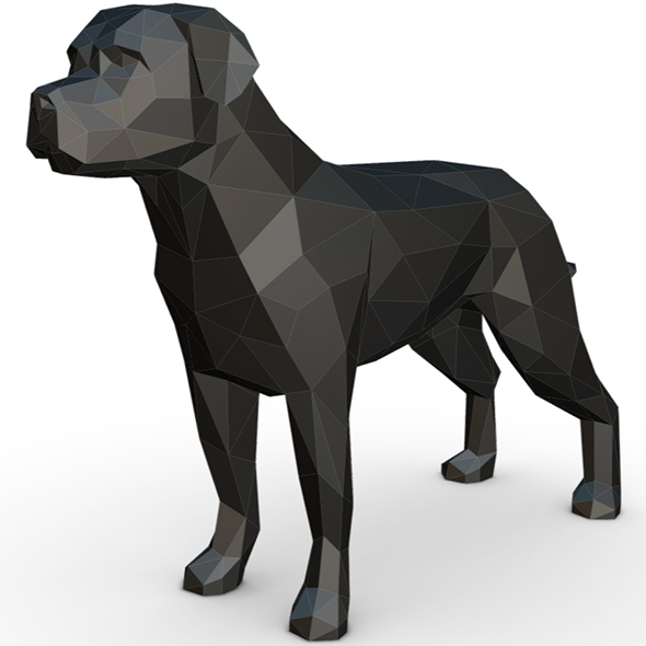 Rottweiler figure - 3Docean 32140157