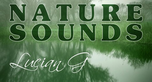 Nature Sounds