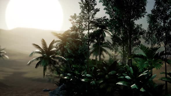 Coco Palm Trees Tropical Landscape alt