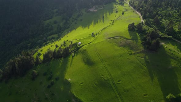 Mountain and forest aerial view alt