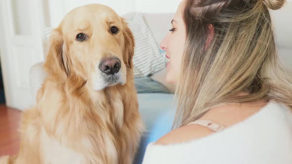 Woman brushing and kissing golden retriever in living room, Milan, Italy