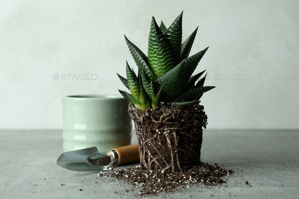 Plant Pot And Garden Shovel On Gray Textured Table Stock Photo By Atlascomposer - Garden Table Plant Pot