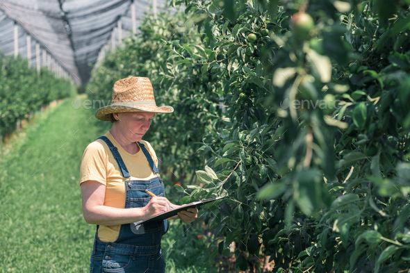 Female farmer writing production notes in apple fruit orchard