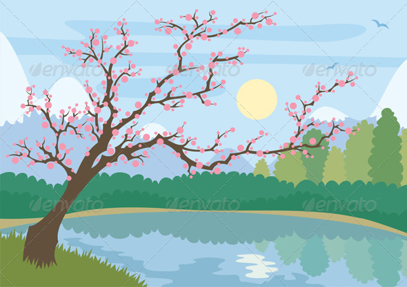 Sakura - Landscapes Nature