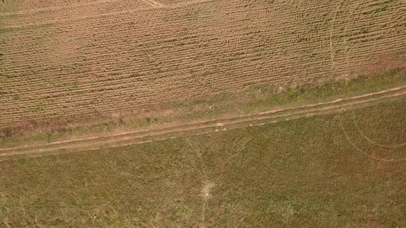 Top Shot Reveal of an idyllic sea beyond a green field, STATIC CROP alt