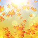 Autumn Leaves Falling - VideoHive Item for Sale