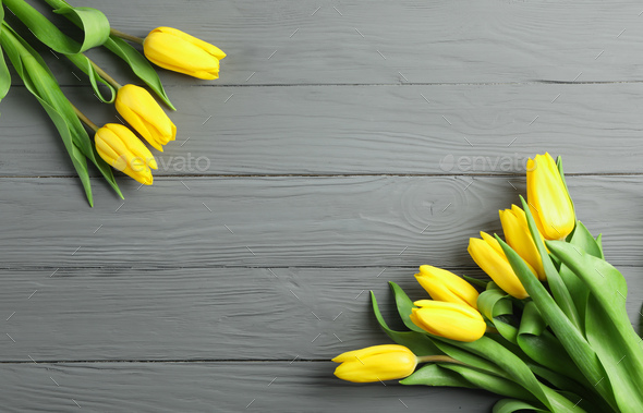 Beautiful yellow tulip flowers on wooden background. Space for text Stock  Photo by AtlasComposer