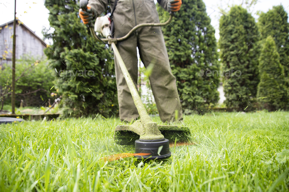 Landscaper Worker Cutting Grass with String Lawn Trimmer Stock