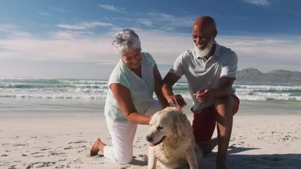 Senior african american couple petting a dog at the beach alt