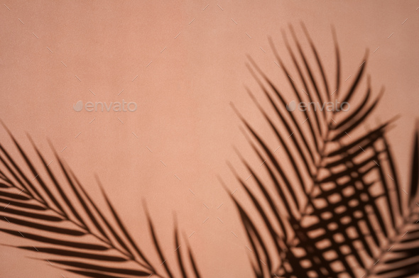 Palm leaves shadows on sienna background. Minimalism.
