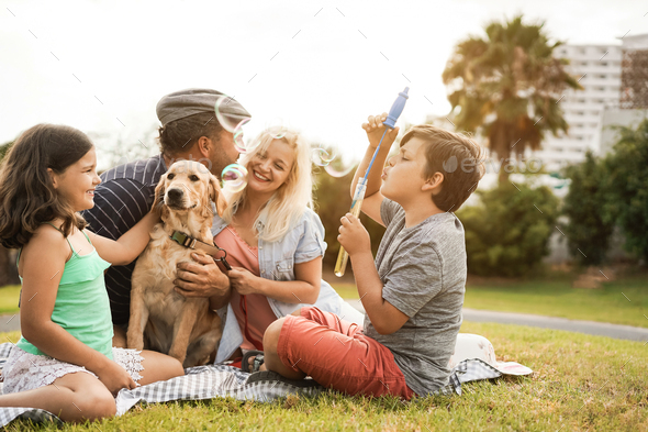 Young parents having fun with children and their pet outdoor at park in summer time - Stock Photo - Images