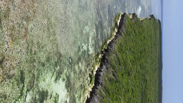 Zanzibar Tanzania  Ocean Shore Covered with Green Thickets Vertical Video Aerial View alt
