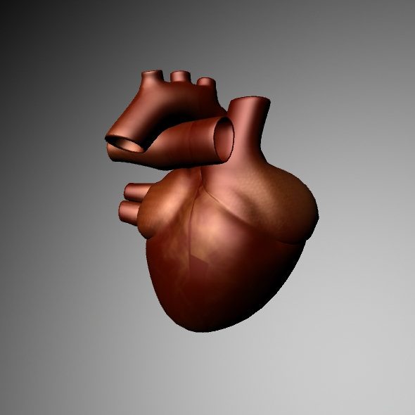 Heart - 3Docean 32301771