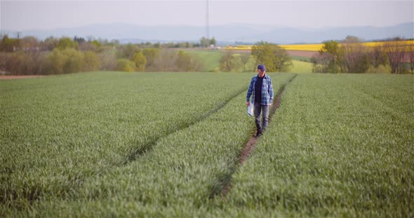 Agronomist Examining Crops And Writing Notes in Clipboard On Field alt