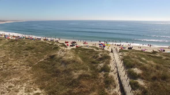 Aerial Beach Landscape alt