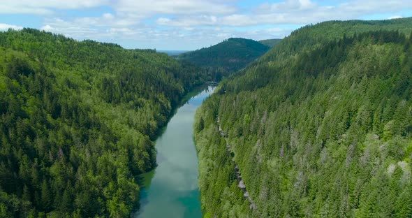 Mountain Forest River Dam Aerial View Nisqually River Washington Usa alt