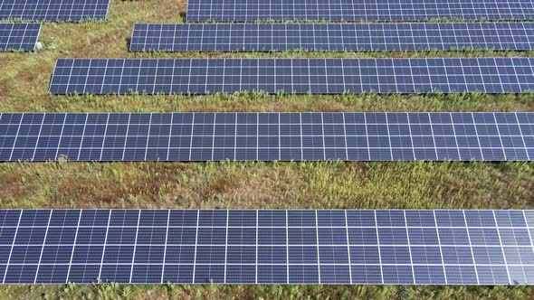Solar Panels Farm in the Field alt