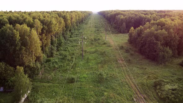 Electric Line in the Forest at Sunset the Concept of Electrification