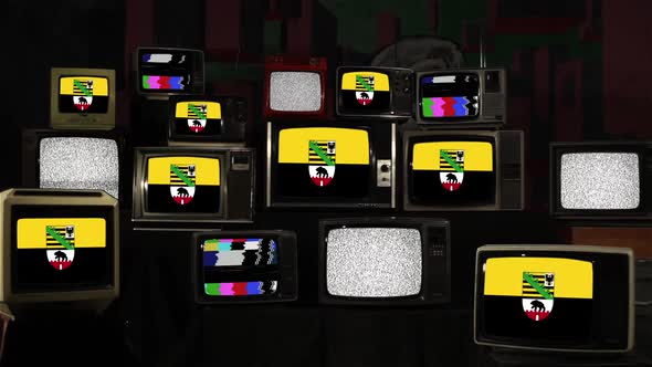 Flag of Saxony-Anhalt, German State, on Retro TVs. alt