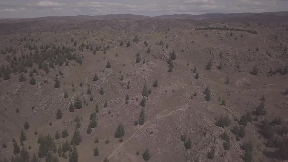 Arid landscape in New Zealand