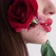 Magical Video of a Girl with a Rose in Her Mouth Makeup for Halloween - VideoHive Item for Sale