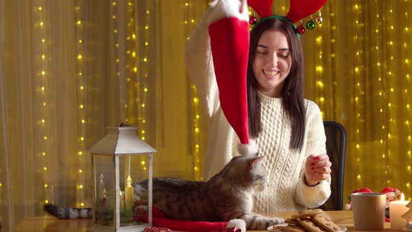 Happy Woman Playing Cat Alone Home During Christmas