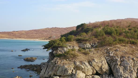 Rocky Cape in the Marine Reserve alt