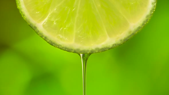 Fresh Sliced Lime with Water Drop Falling on Greenery Background alt