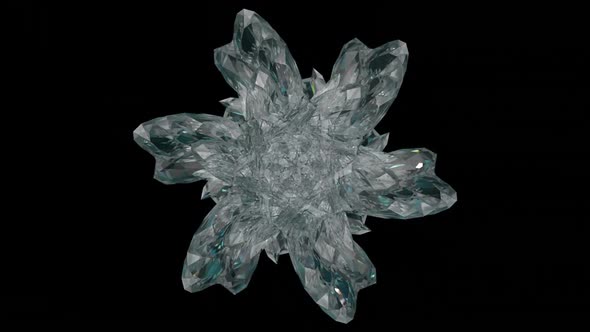 Snowflakes with Effects on a Black Background