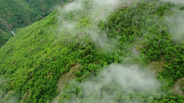 Top Down Aerial View of Summer Forest Fly Over Clouds Beautiful Natural Background alt