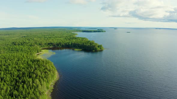Aerial View of Clear Water Lake and Green Forest by Onega Lake in Karelia, Russia