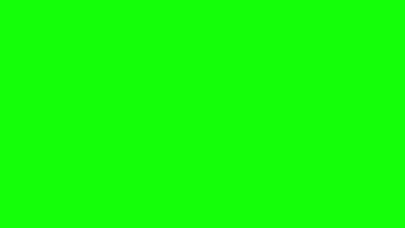 Hand Gesture Against Green Screen alt