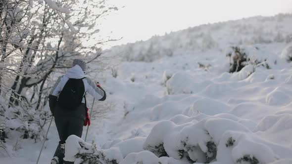 A Young Woman is Climbing a Mountain Through Deep Snow alt