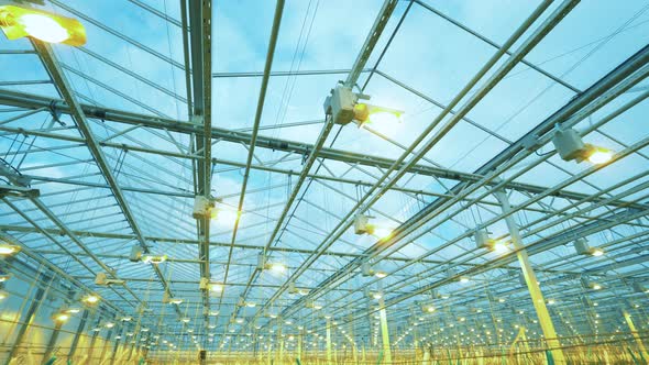 Lighting System Installed in the Greenhouse alt