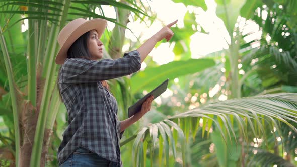 Young woman farmer monitoring orchard and sends data to the cloud from the tablet.