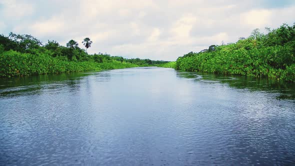 First person perspective view sailing down a narrow river in rural Brazil alt