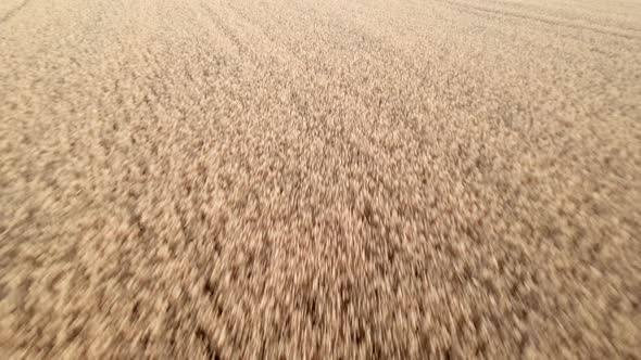 Aerial View From Drone alt